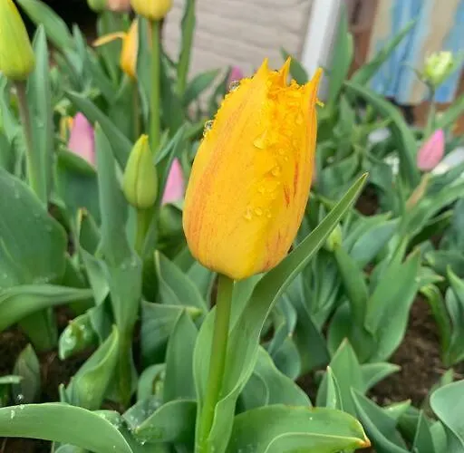 Have A Stay! - Main Street Beachapartment, 150 Meters